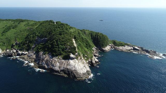 Ilha da Queimada Grande